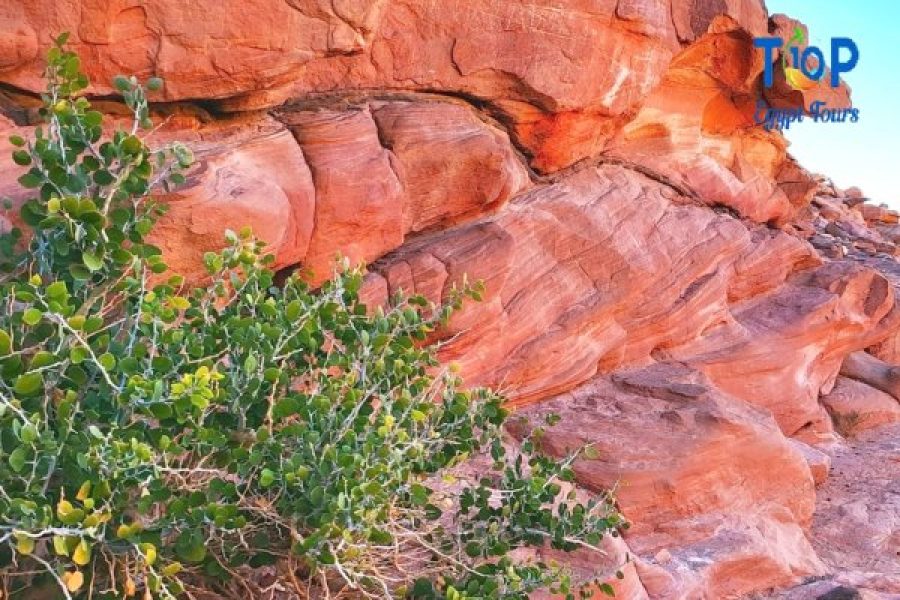 Colored Canyon and Blue Hole Day Trip