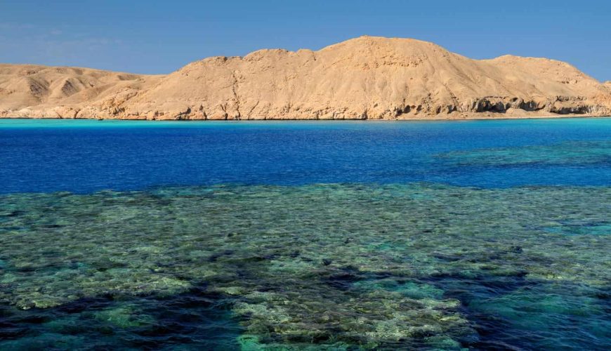 Discovering the Pristine Reefs of St. John’s