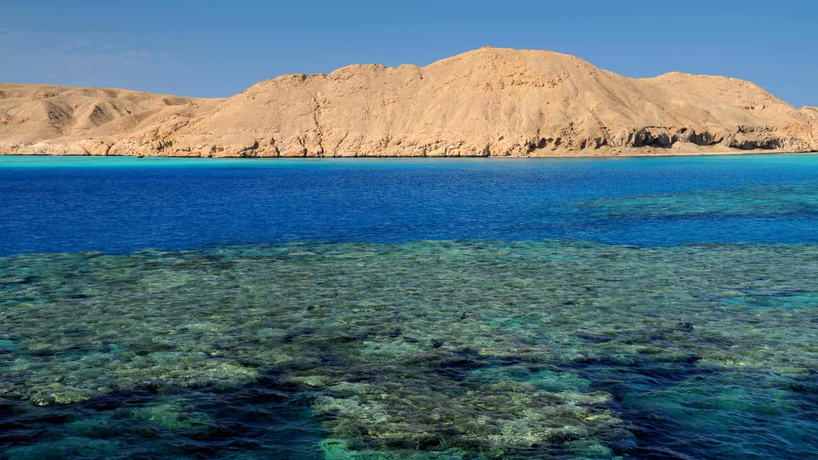 Discovering the Pristine Reefs of St. John’s