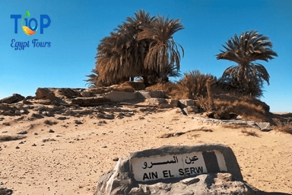 Hidden Gem of Ain El Serw in Egypt