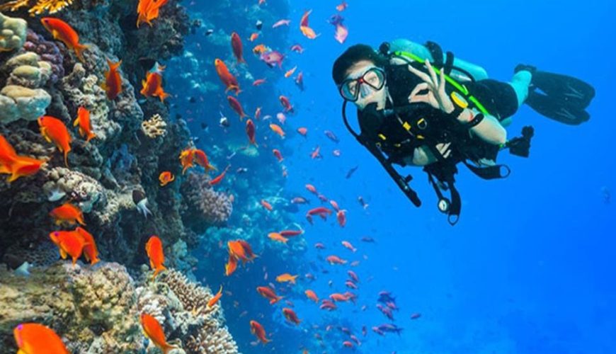 Ras-Mohamed-diving