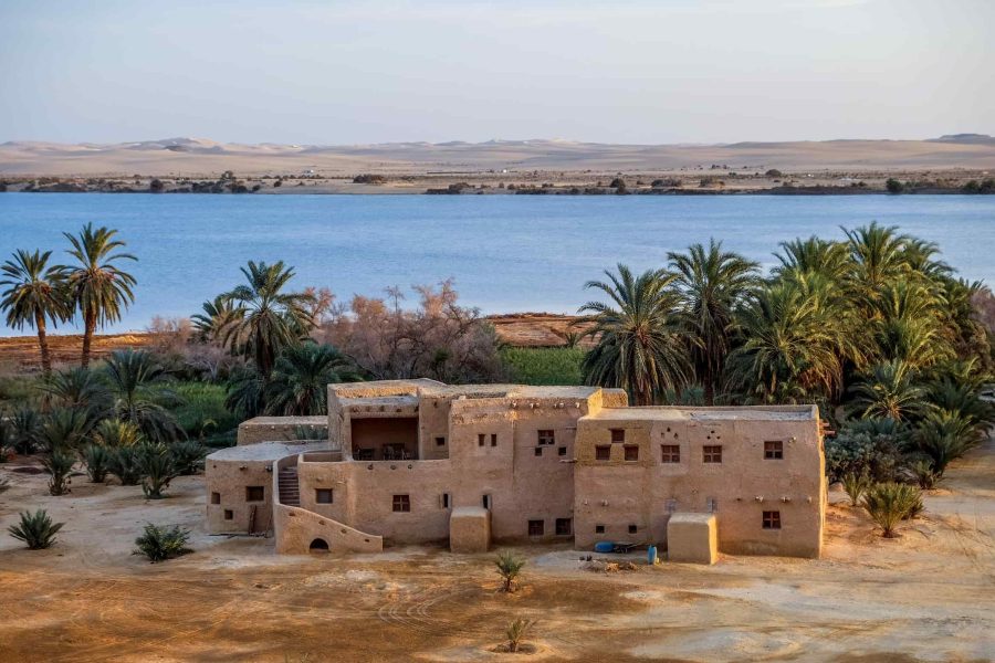 4 Days Cairo to Siwa Oasis Tour Safari