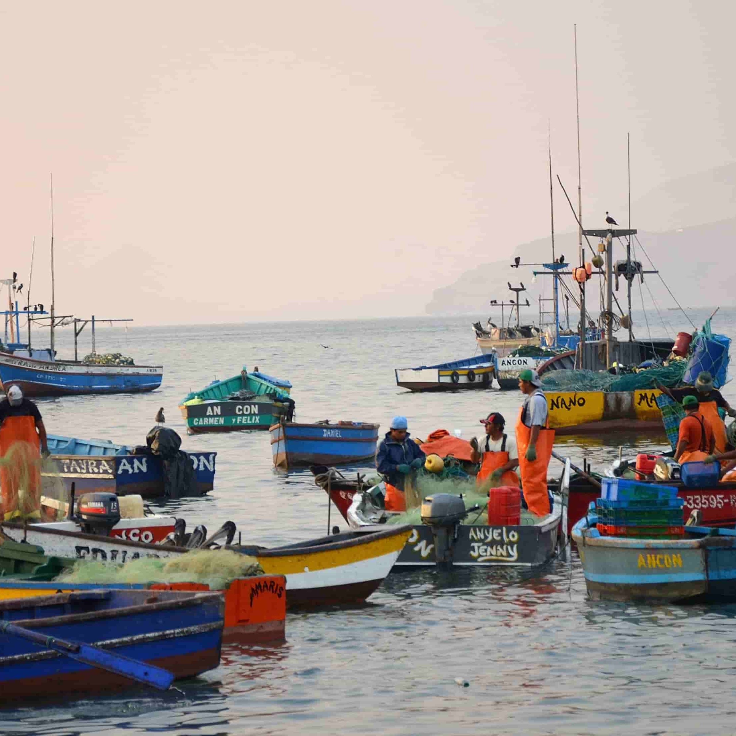 Sustainable Fishing Practices