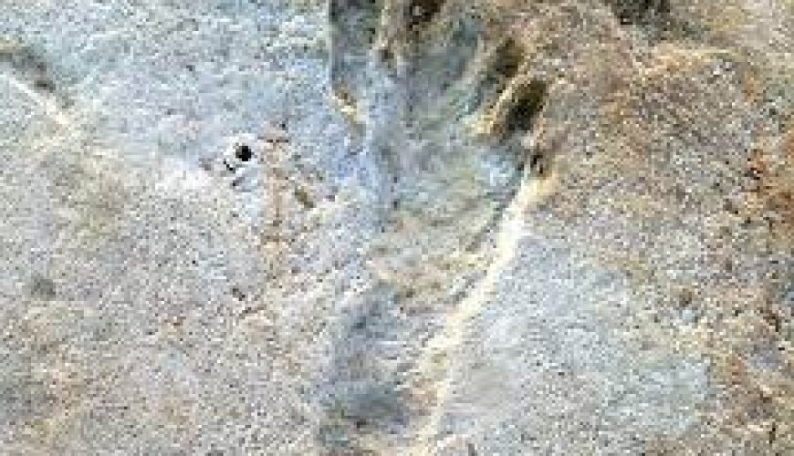 The Oldest Human Footprint in Egypt's Desert Sands