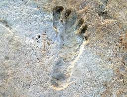 The Oldest Human Footprint in Egypt's Desert Sands