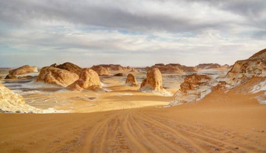 Unearthing the Secrets of the Western Desert