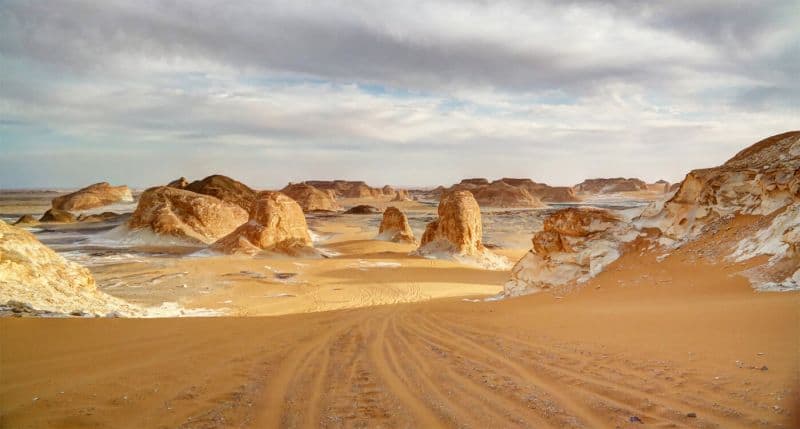 Unearthing the Secrets of the Western Desert