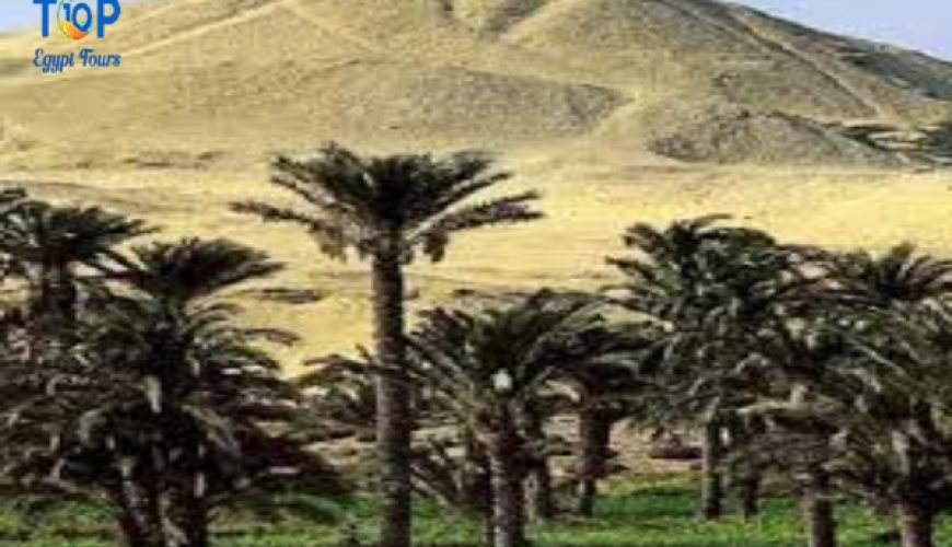 Unveiling Ahnasia: A Hidden Gem in Egypt