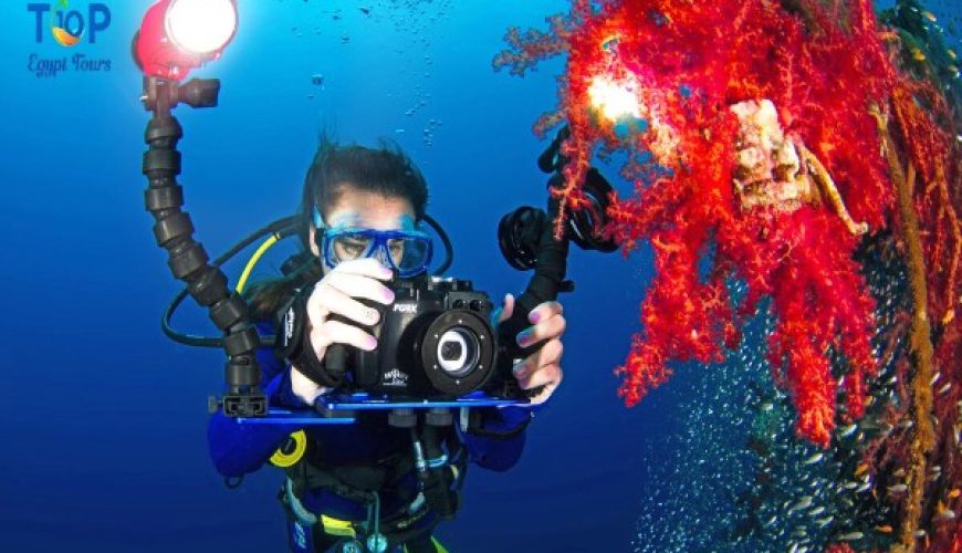 Editing Tips for Enhancing Underwater Images