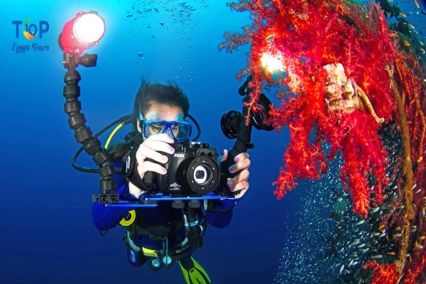 Editing Tips for Enhancing Underwater Images