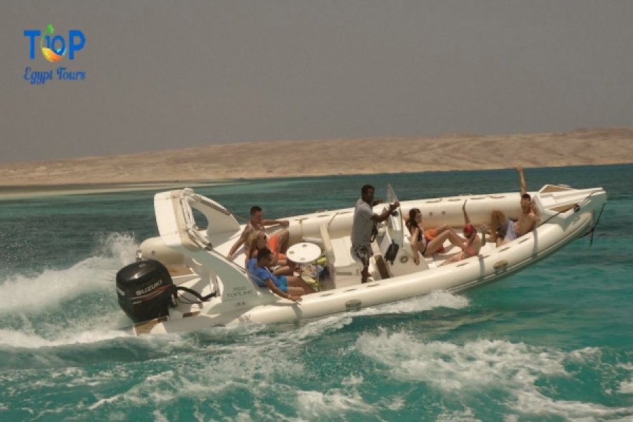 private speedboat tour Dolphin House